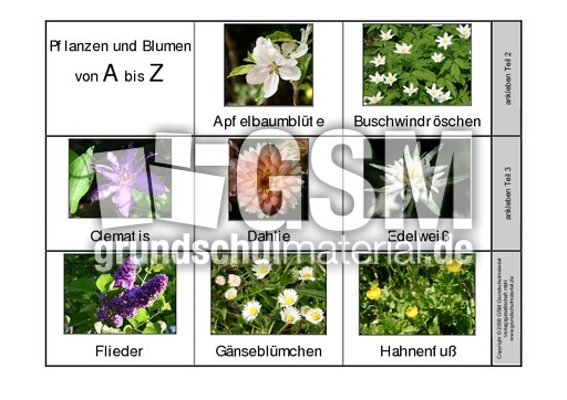 Leporello-Pflanzen-A-Z-1-Seite-1.pdf